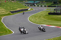 cadwell-no-limits-trackday;cadwell-park;cadwell-park-photographs;cadwell-trackday-photographs;enduro-digital-images;event-digital-images;eventdigitalimages;no-limits-trackdays;peter-wileman-photography;racing-digital-images;trackday-digital-images;trackday-photos